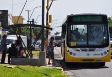 Feriados en la ciudad: recolección normal, colectivos con frecuencia reducida y sin SEOM