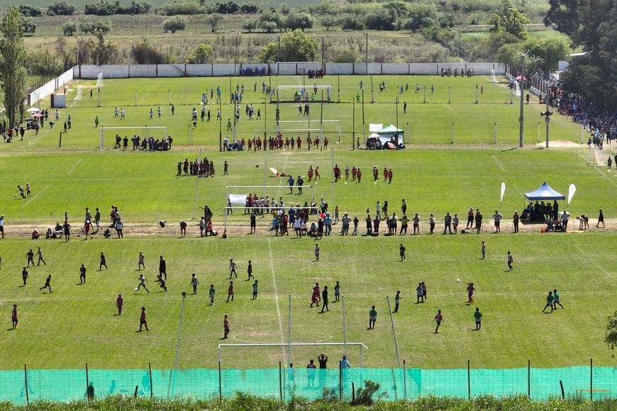 torneo barisone 2024