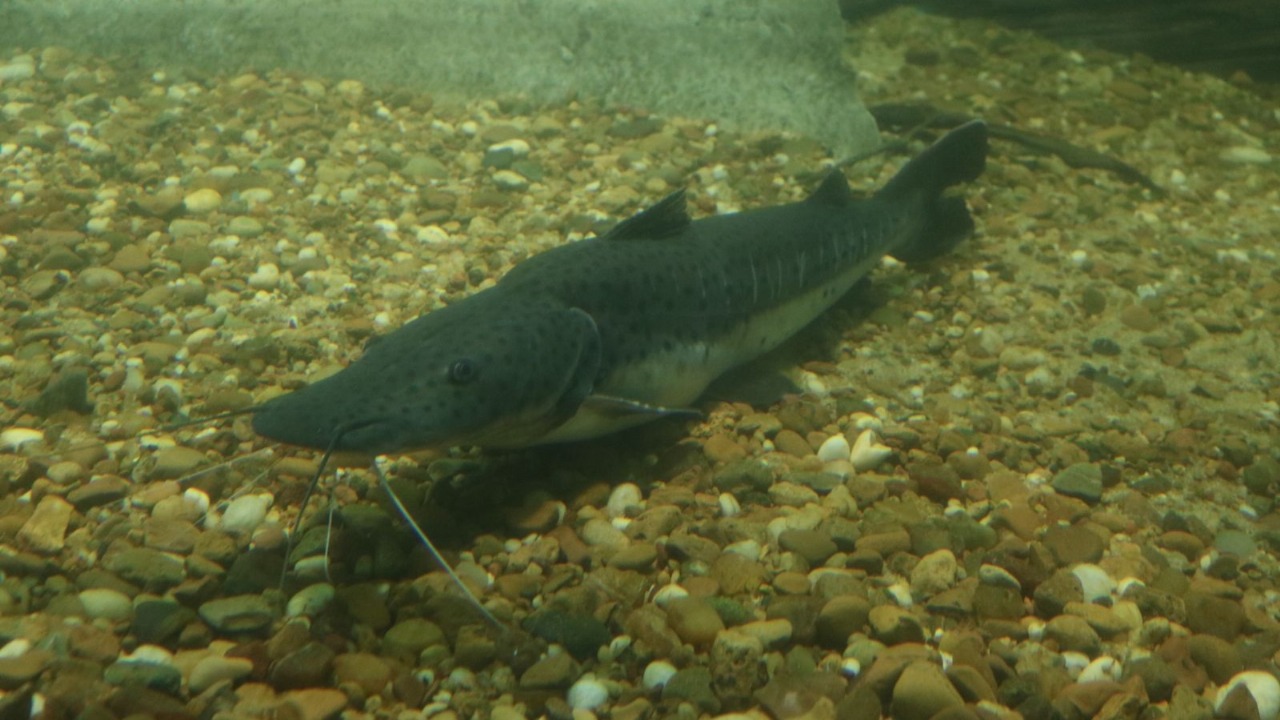 Imagen de WhatsApp 2025-10-28 a las 13.18.20_59d55f26