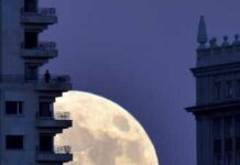 Superluna de noviembre: cuándo y cómo disfrutar del fenómeno astronómico hoy