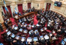 Senado: LLA no incorporó al dictamen del Presupuesto el capítulo 11 rechazado por Diputados