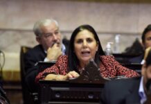 Escándalo en Entre Ríos: La ex-diputada Gabriela Lena, involucrada en una «adopción ilegal» de dos niñas Dominicanas