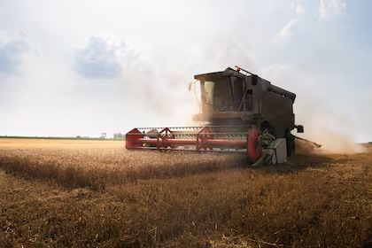 Imagen de WhatsApp 2025-12-13 a las 19.34.21_4d8dbc20