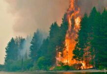 Dos tormentas eléctricas crearon nuevos focos y ya se consumieron más de 45 mil hectáreas en Chubut