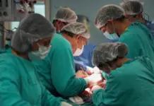 Santa Fe marca un hito histórico: 2025 cerró con récord absoluto de donantes y trasplantes