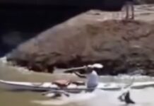 INSÓLITO: un kayakista chocó al líder de la maratón Santa Fe-Coronda