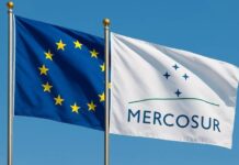 Comienza a regir el acuerdo de libre comercio entre el Mercosur y la Unión Europea