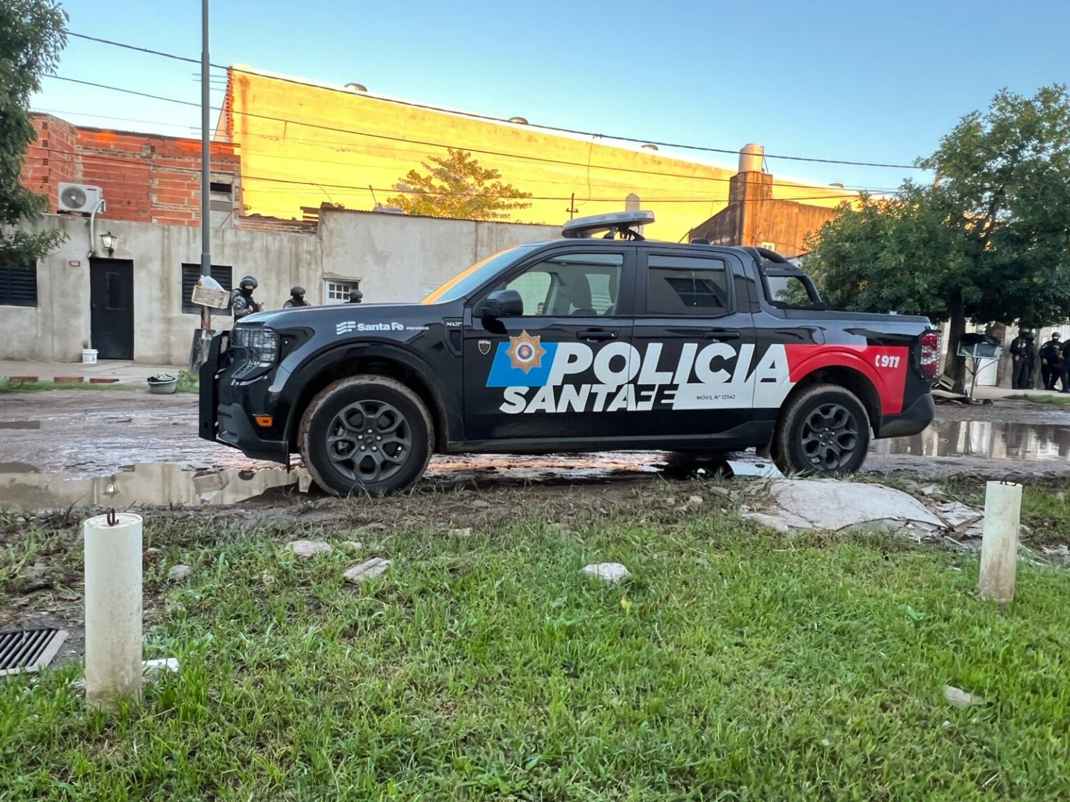 GALLOS DE RIÑA