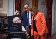 El Senado aprobó el pliego de Michelli y expuso una nueva interna oficialista