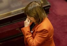 Bullrich advierte por fallas de comunicación en el oficialismo, frena el fin de las PASO y respalda la reelección de Milei