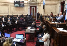El Senado buscará convertir en ley Inocencia Fiscal y la reforma del Banco Central